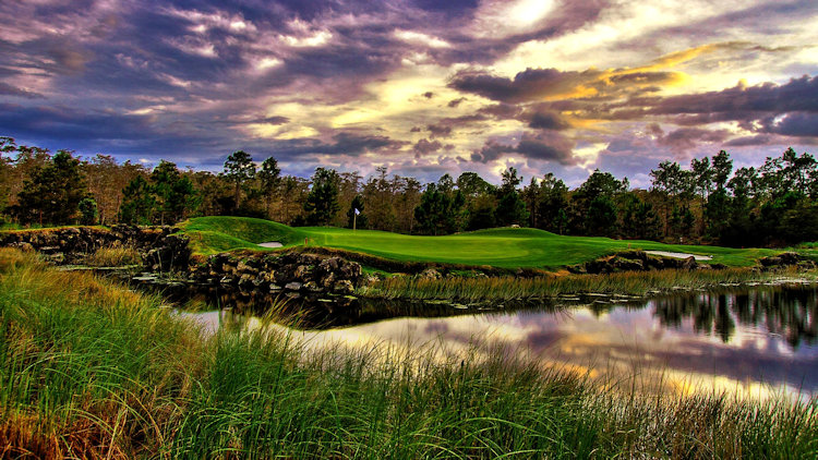Olde Cypress